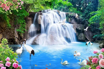 Красивая природа водопады и животные - картинки и фото 1zoom