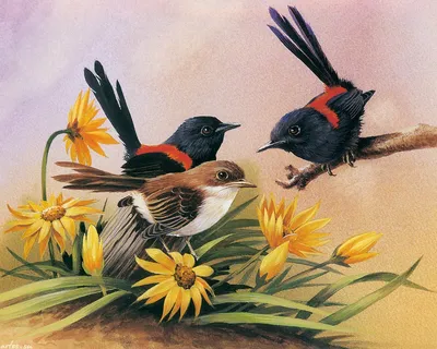 Природа птицы цветы (67 фото) - красивые фото и картинки pofoto.club