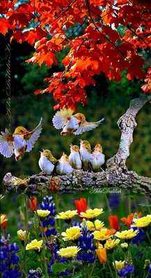 Картина озера» безшовная акварели.. Красивые птицы с цветами отправляются  ягодам бабочка на белый фон Иллюстрация штока - иллюстрации насчитывающей  ребяческо, цветок: 180758052