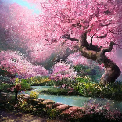 Красивые цветки или вишневые деревья Сакуры с розовыми цветками весно  Стоковое Фото - изображение насчитывающей вишня, сад: 144710504
