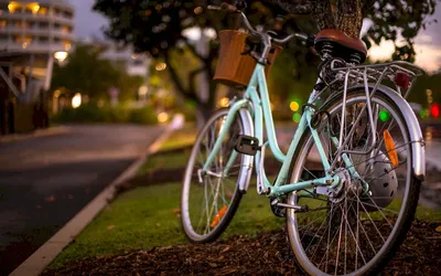 Стильные мужские велосипеды на лето: модели от Pashley, Rossignoli, Linus  Bike, Tokyobike | GQ Россия