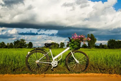 Велосипед на природе (54 фото) - 54 фото