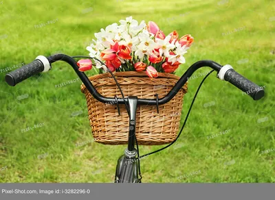 Велосипед Хороший для женщины, Красивый велик легкий городской  профессиональный для девушки (ID#1895049212), цена: 7253 ₴, купить на  Prom.ua