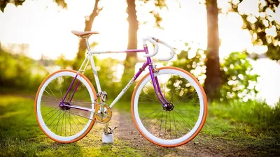 Красивая девушка с велосипедом в парке Стоковое Изображение - изображение  насчитывающей экземпляр, корейско: 155147461