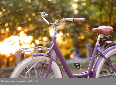 Красивая девушка с велосипедом. Весна. Stock Photo | Adobe Stock
