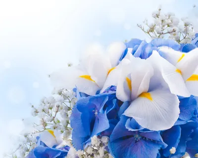 Красивые весенние цветы в саду и интерьере: 35 фото примеров - 35 фото