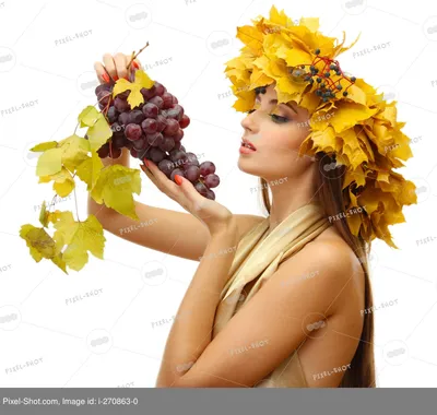 Виноград - красивые картинки (100 фото) • Прикольные картинки и позитив