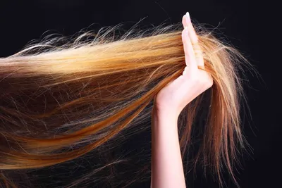 Как отрастить здоровые волосы: 5 спасительных средств от Lakme