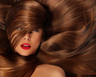 Легко ли иметь красивые волосы? | Творческая студия Елены Зотовой