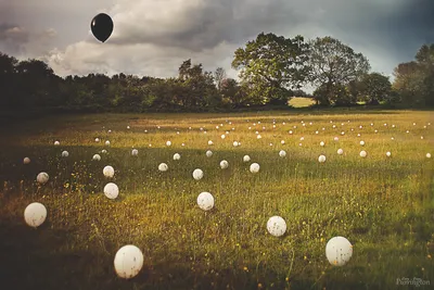 обои : Поле, сюрреализм, Воздушный шар, Сюрреалистический 2048x1365 - -  959154 - красивые картинки - WallHere