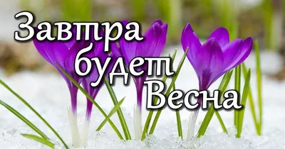 Три дня до весны картинки красивые (39 фото) » Красивые картинки,  поздравления и пожелания - Lubok.club