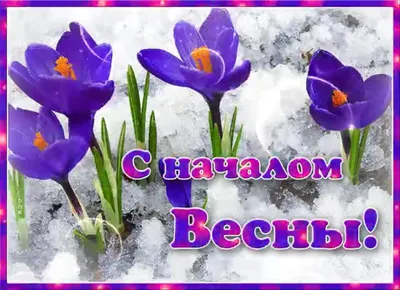 Доброго дня скоро весна картинки красивые (32 фото) » Красивые картинки,  поздравления и пожелания - Lubok.club
