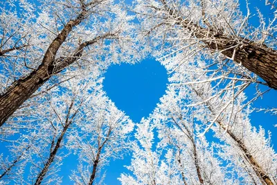 Скоро весна: поздравления с 1 февраля, красивые стихи и картинки с  последним зимним месяцем » Информационно аналитический портал «Эхо Недели»