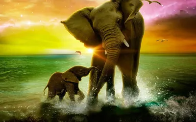 Милые и красивые слоны - Великолепные слоники | Facebook