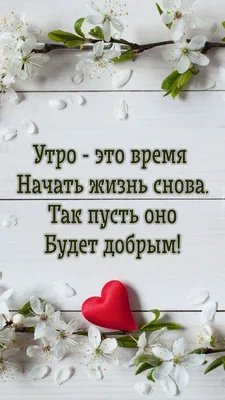 На все времена: 100 вдохновляющих цитат | Forbes Life