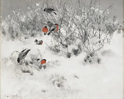 Птицы акварелью. Снегирь