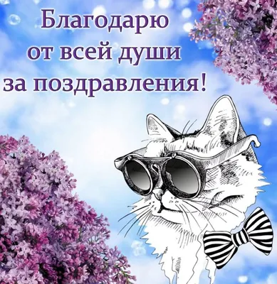 https://mur-mur.top/cat2/53176-krasivye-kartinki-blagodarnost-za-pozdravlenija.html