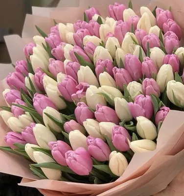 цветы лето весна летние обои весенние обои тюльпаны фокус боке розовый  желтый белый нежный нежные тюльпаны обои для … | Розовые тюльпаны, Тюльпаны,  Цветущие деревья