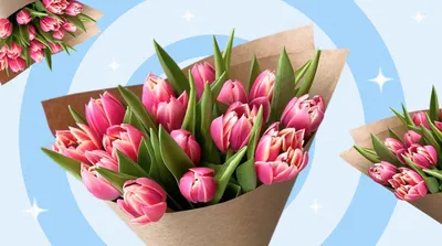 Скачать обои цветы, весна, тюльпаны, много, красные тюльпаны разрешение  1920x1080 #141498