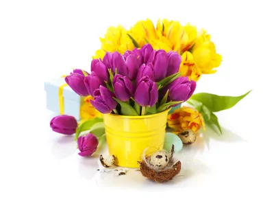 Обои Цветы Тюльпаны, обои для рабочего стола, фотографии цветы, тюльпаны,  весна Обои для рабочего стола, скачать обои картинки заставки на рабочий  стол.