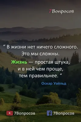 80 красивых цитат и статусов про улыбку, поднимающих настроение :: Инфониак