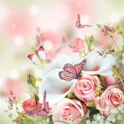 Красивые цветов и бабочек