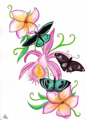 Красивые открытки с бабочками - 68 фото