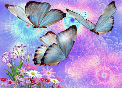 Красивые бабочки,🦋,цветы,розы,…» — создано в Шедевруме