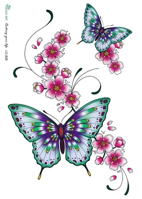Цветы и бабочки картинки красивые - 78 фото