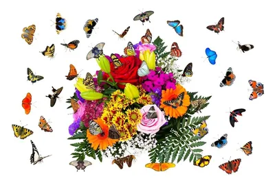 Картинки бабочки и цветы для детей - 36 фото