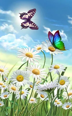 цветы и бабочки | Butterfly wallpaper backgrounds, Butterfly painting,  Butterfly wallpaper