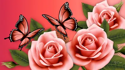 Красивые бабочки сидят на цветке на открытом воздухе :: Стоковая фотография  :: Pixel-Shot Studio