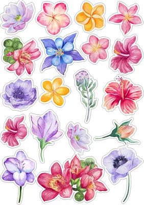 красивые цветы и живопись границы PNG , венок, Бургундия, цветущий PNG  картинки и пнг PSD рисунок для бесплатной загрузки