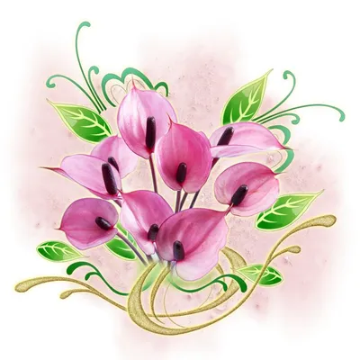 Роза фиолетовый букет красивые цветы фон И картинка для бесплатной загрузки  - Pngtree
