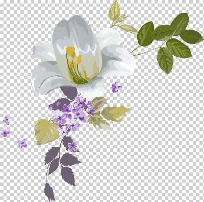 Нарисованные картинки красивые цветы (54 фото) - 54 фото