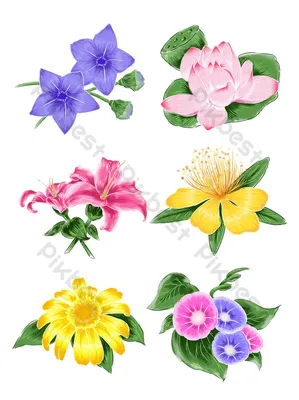 Картинки с красивыми нарисованными цветами (38 фото)