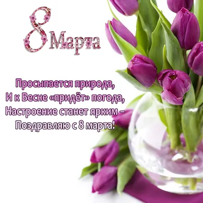 Фотографии 8 марта Русские Тюльпаны Цветы 1920x1080