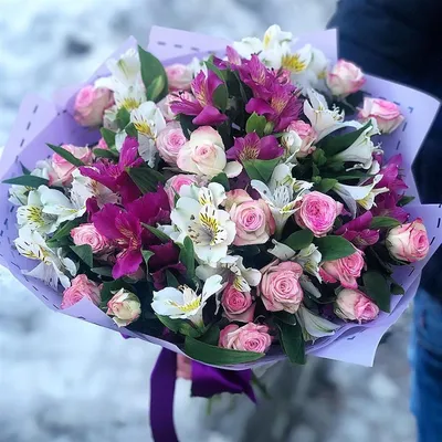 Какие цветы лучше заказать на 8 марта | ОБЩЕСТВО | АиФ Санкт-Петербург