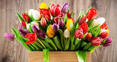 Красивые цветы на 8 марта -