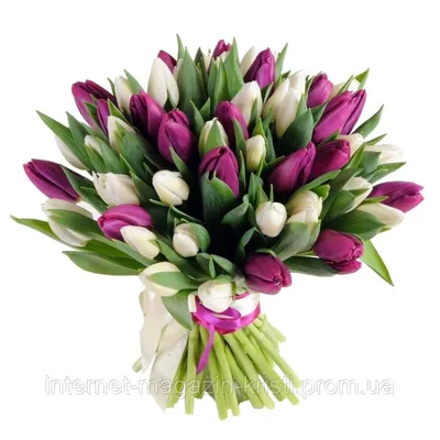 Киевляне скупают цветы к 8 Марта: почем продают тюльпаны, розы и мимозы -  ХВИЛЯ