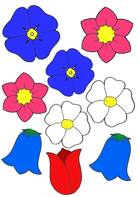 Цветы для срисовки цветные - 81 фото
