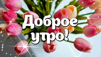 Пожелания с добрым утром - Новости на KP.UA