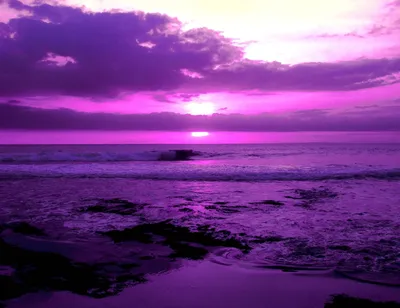 Красивые картинки фиолетового цвета - 81 фото