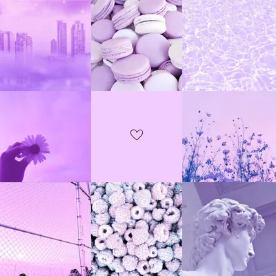 Фиолетовый цвет — красивые картинки