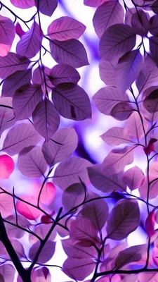 Фиолетовые картинки на телефон - 80 фото