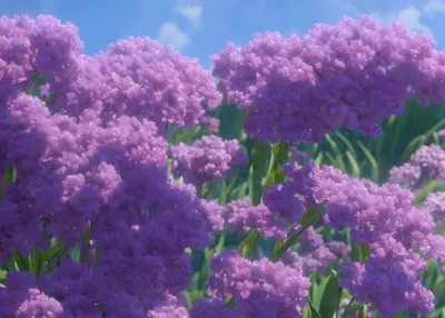 Фиолетовый цвет в природе - красивые фото
