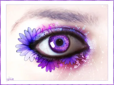 краска кисть и красивые цветы на бледно-фиолетовом фоне плоский слой  Стоковое Изображение - изображение насчитывающей никто, предмет: 218408863