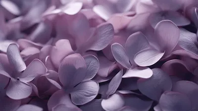 Красивые Цветы На Фиолетовом Фоне Концепция Праздников Поздравительная  Открытка Ко Дню Матери Весна Цветение Летние Цветы Пространств — стоковые  фотографии и другие картинки Фоновые изображения - iStock