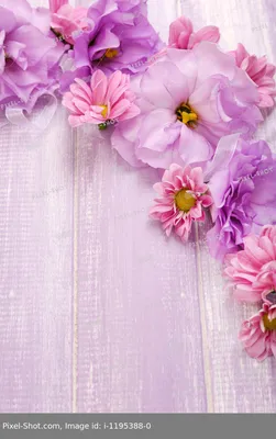 красивые фиолетовые цветы для обоев на рабочий стол, красивые цветы,  фиолетовые цветы, красивый фон картинки и Фото для бесплатной загрузки