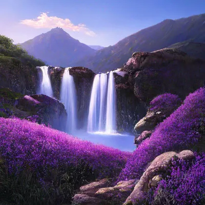красивые фиолетовые лепестки цветка, цветы, вышивка, пурпурный фон картинки  и Фото для бесплатной загрузки